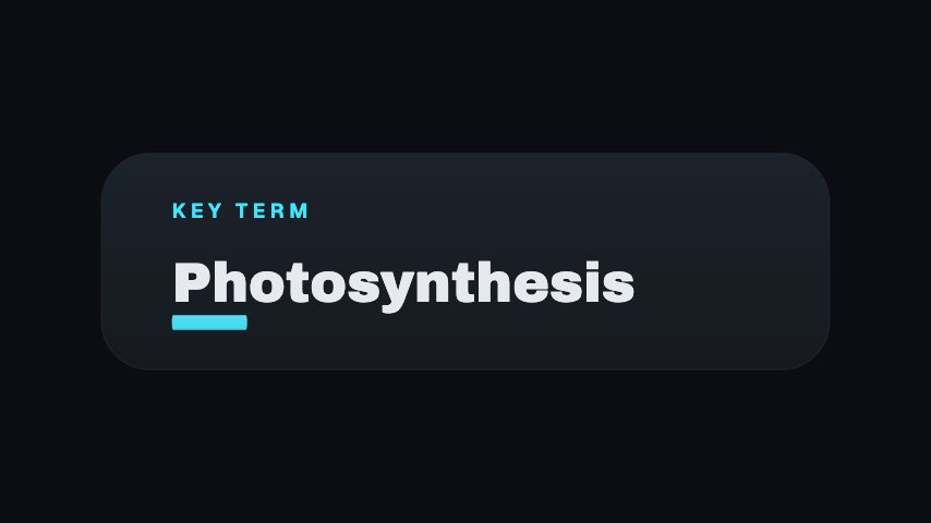 Key Term animation preview