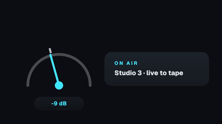 Mic Live animation preview
