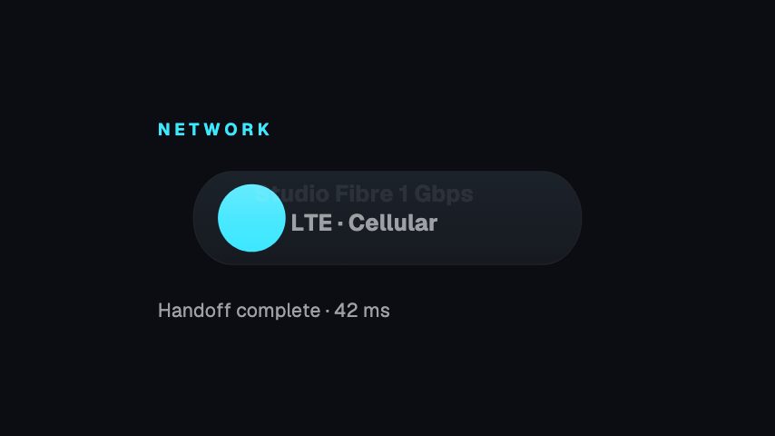 Network Switch animation preview