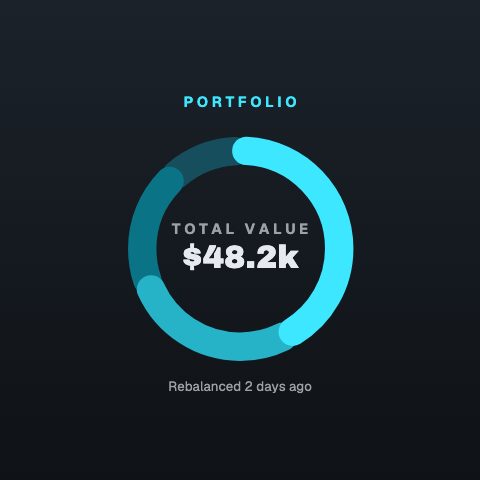 Portfolio Donut animation preview