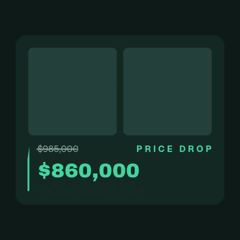 Price Drop Counter animation preview
