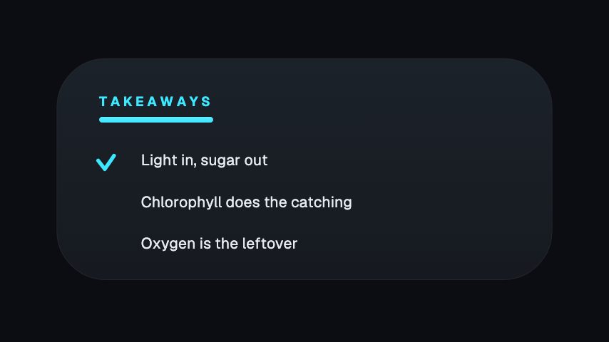 Takeaway List animation preview
