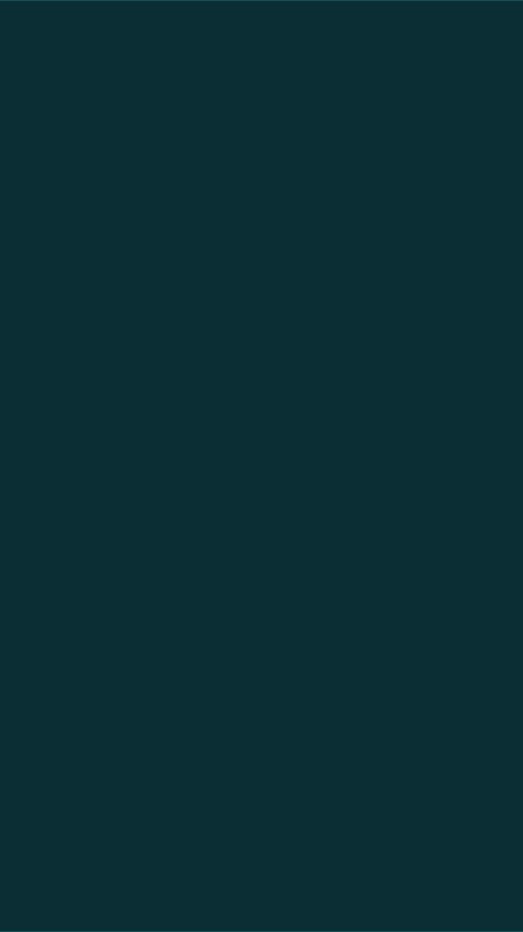 Vertical Diagonal Wipe Stinger Transition animation preview
