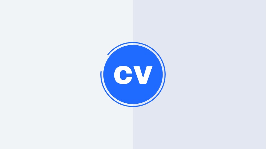 Logo Stinger Transition animation preview