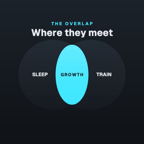 Venn Overlap animation preview